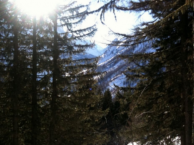  夏蒙尼山谷的越野滑雪 